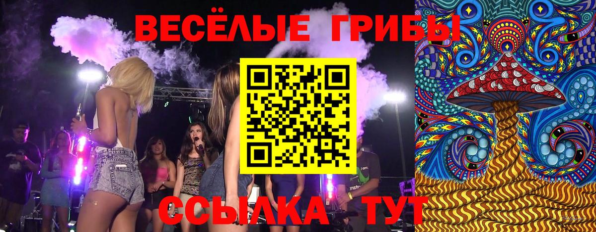 Ставрополь  Галлюциногенные грибы ЛСД  Вход с VPN 