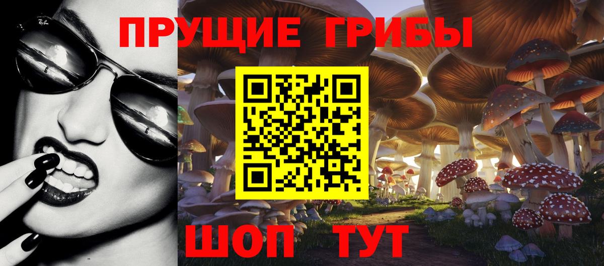 Псилоцибиновые грибы GOLDEN TEACHER Ставрополь